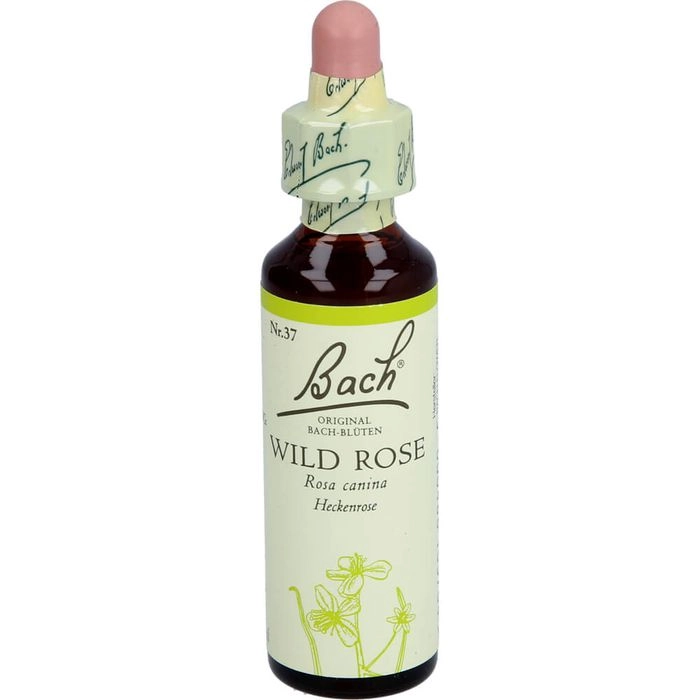 BACHBLÜTEN Wild Rose Tropfen 20 ml