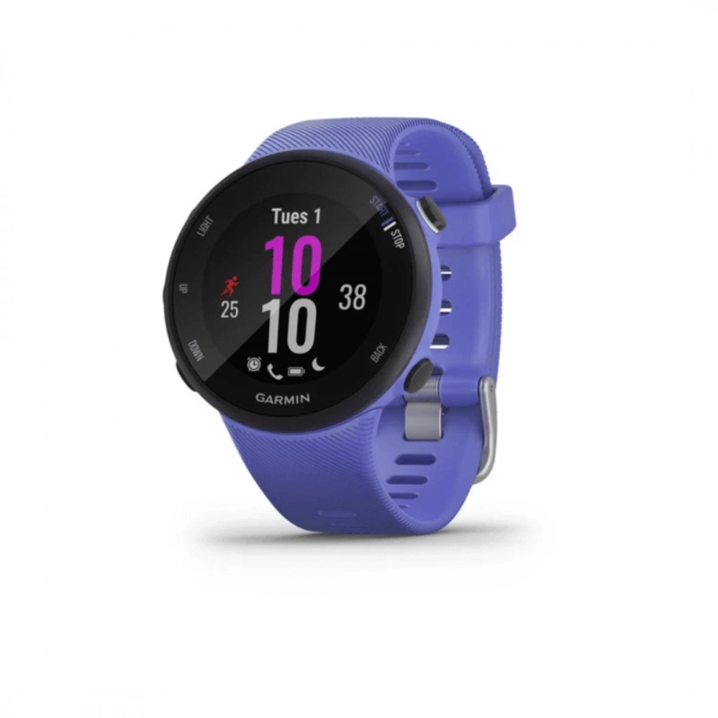 Garmin Forerunner 45S Iris
