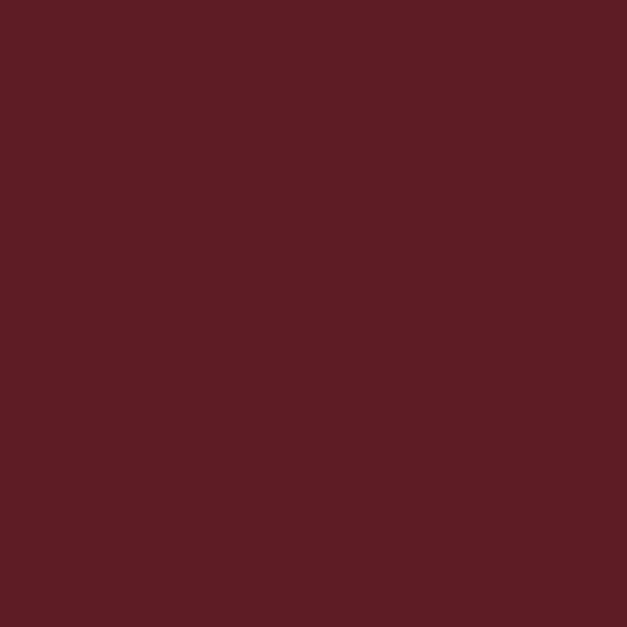 toom 2in1 Buntlack 'Abendrot' purpurrot seidenmatt 375 ml
