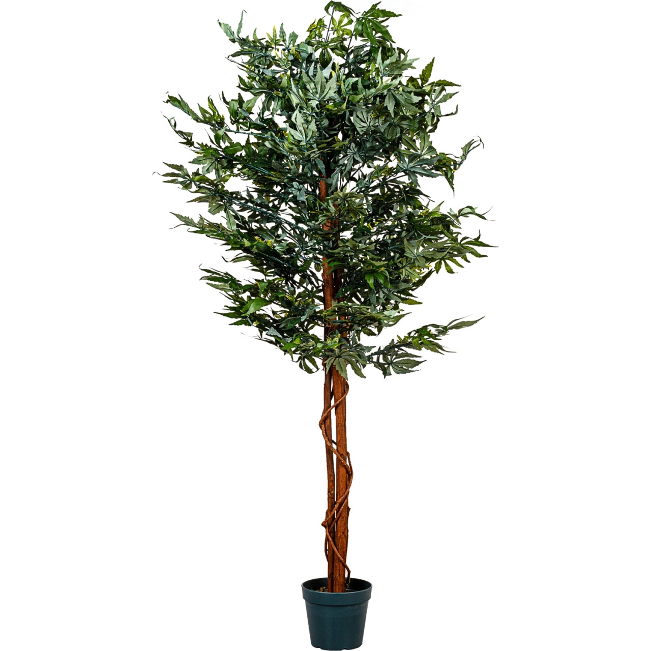 PLANTASIA Künstliche Zimmerpflanze 150 cm, Echtholzstamm, 600 Blätter, Kunstbaum Hanfbaum