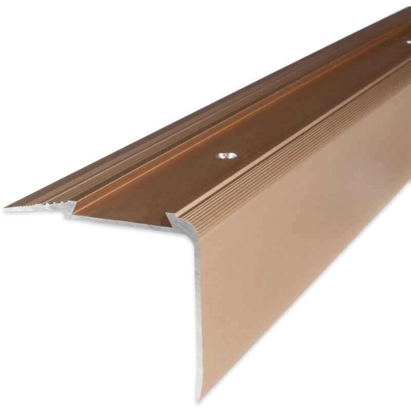 Proviston - Treppenkante | Aluminium eloxiert | Bronze Hell | Breite 58 mm | Höhe 45 mm | Länge 2700 mm | Gebohrt | Treppenkantenprofil |