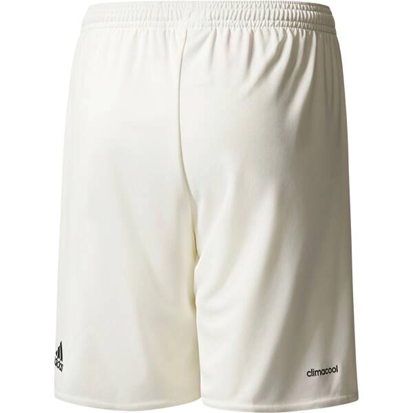 ADIDAS Kinder Teamhose DFB Away