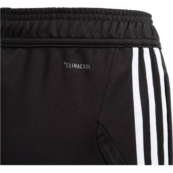 ADIDAS Fußball - Teamsport Textil - Hosen Tiro 19 Trainingshose Pant Kids Dunkel