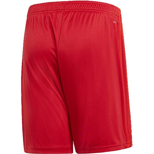 ADIDAS Replicas - Shorts - National FC Bayern München Short UCL 2019/2020