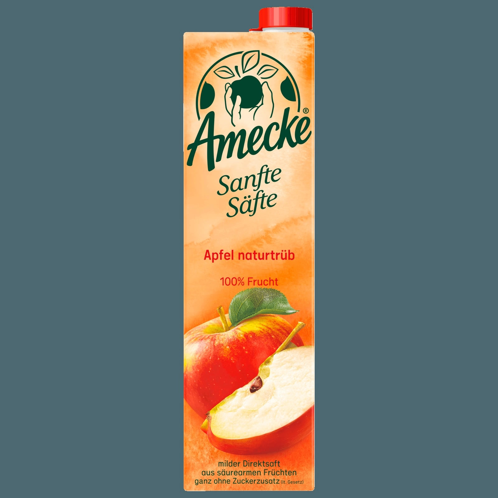 Amecke Sanfte Säfte Apfel naturtrüb 1l