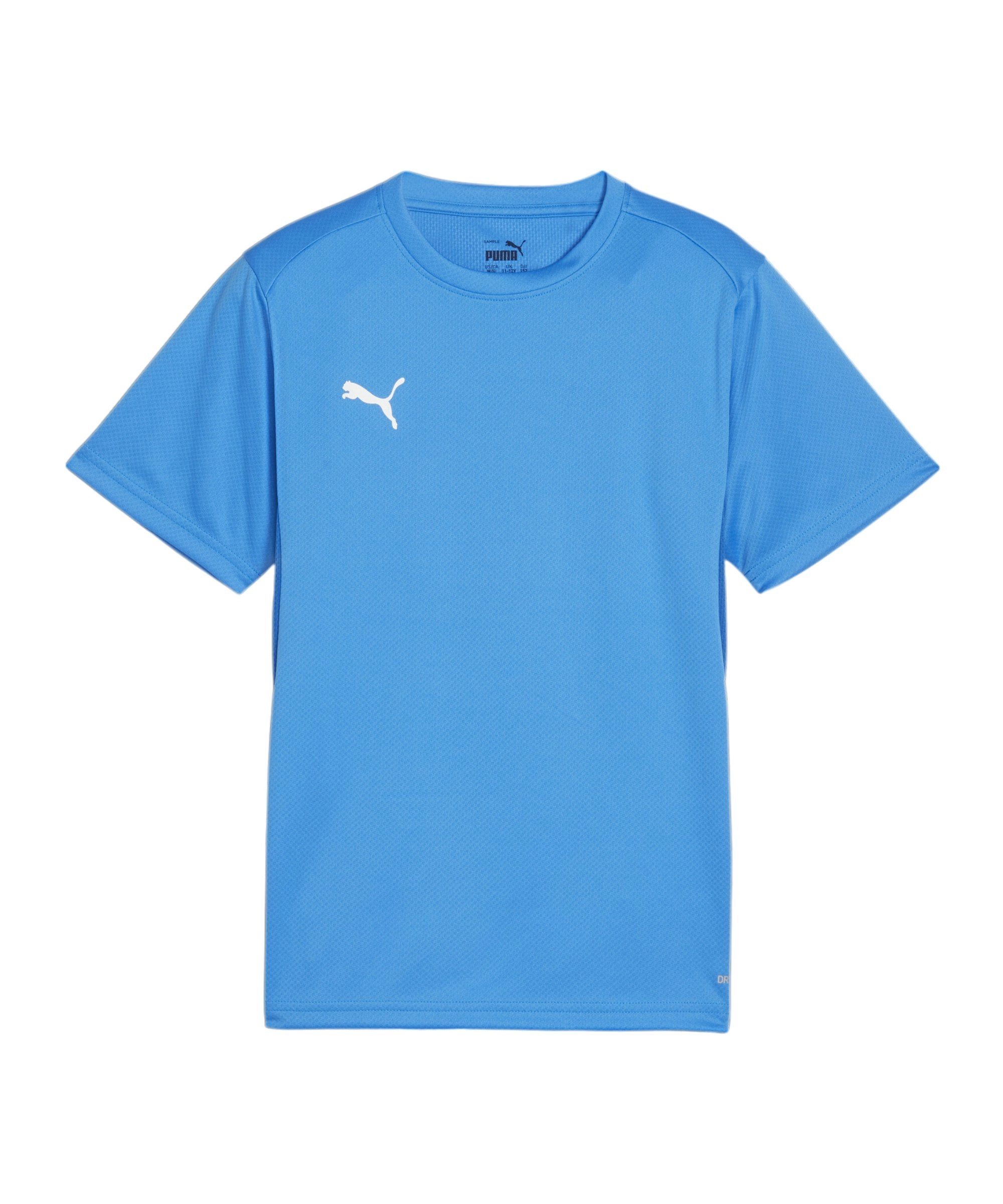 PUMA teamGOAL Trikot Kids Blau F02