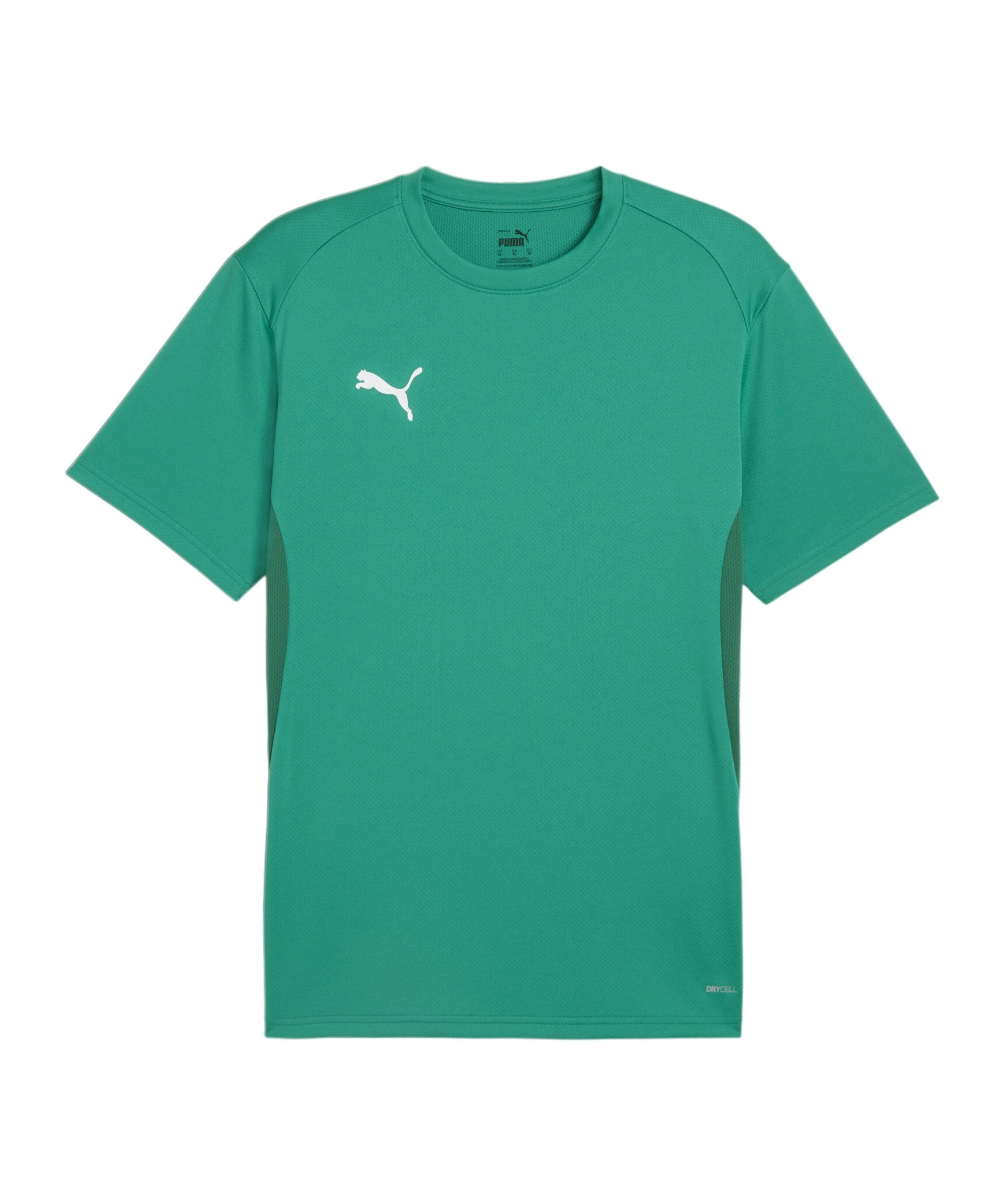 PUMA teamGOAL Trikot Grün F05