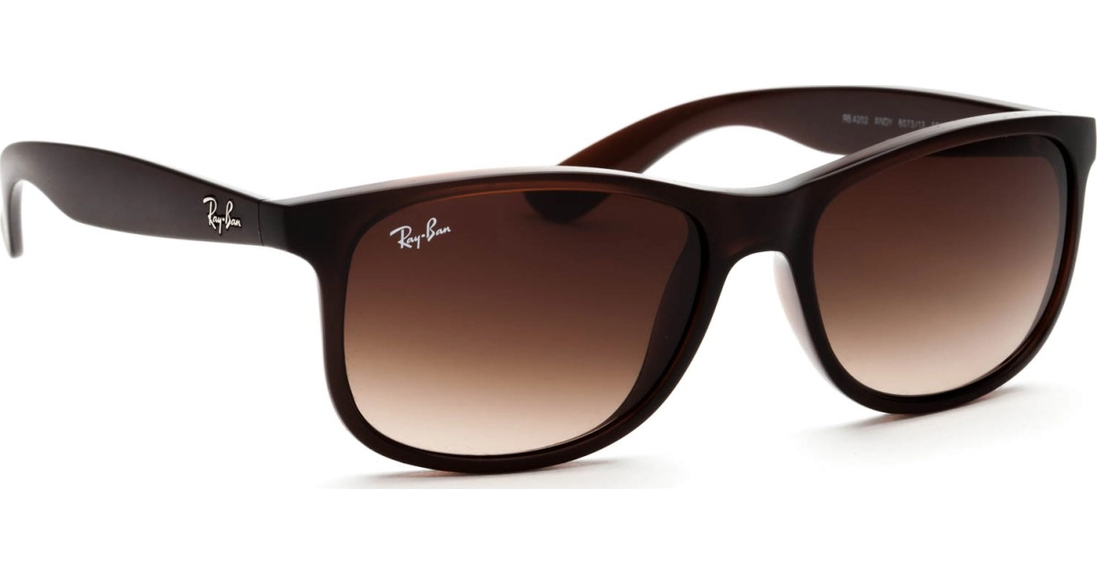 Ray-Ban Andy RB4202 607313 55