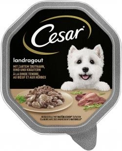 Cesar Landragout mit zartem Truthahn, Rind und Kräutern