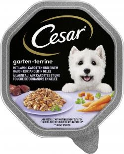 Cesar Garten-Terrine mit Lamm, Karotten und Koriander in Gelee