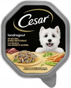 Cesar Landragout mit Geflügel, Gemüse und Petersilie