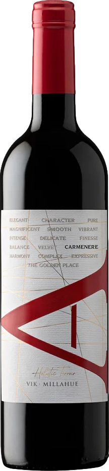 Vina Vik A Carmenere 2021