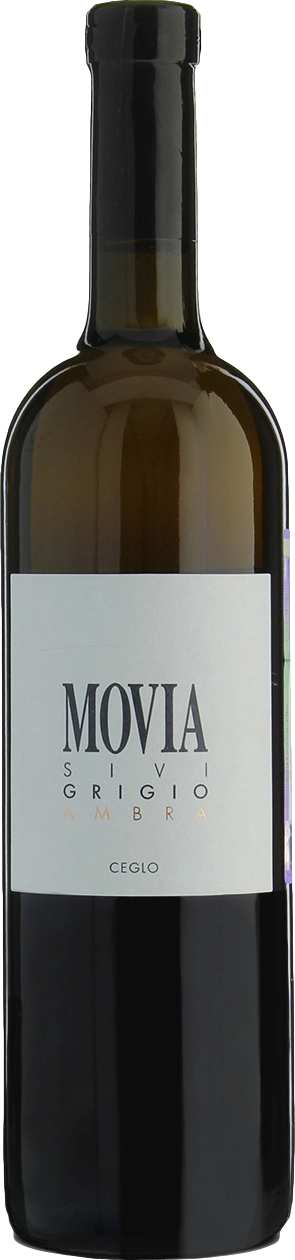 Movia Sivi Grigio Ambra 2022