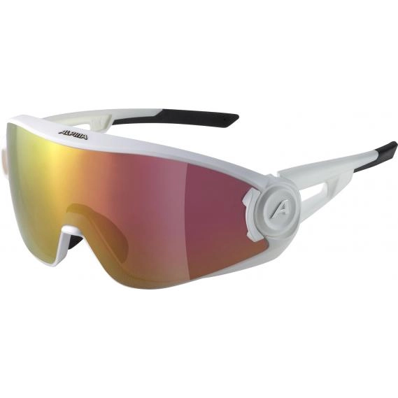 Sonnenbrille Alpina 5W1NG QV