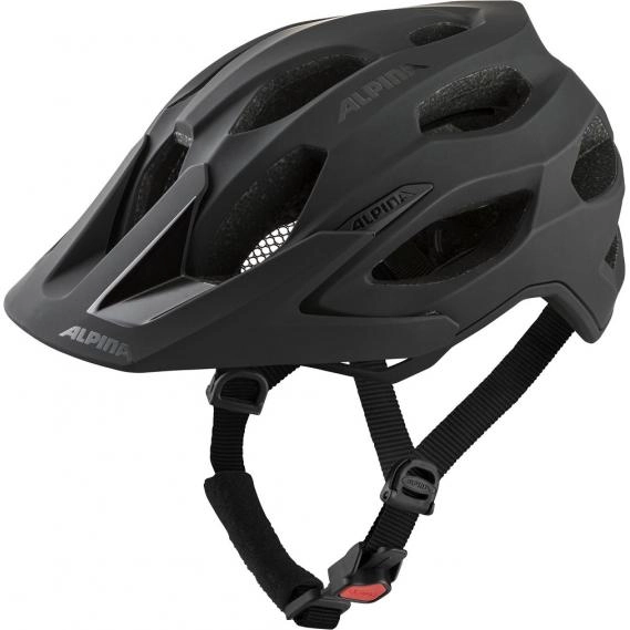 Radhelm Alpina Carapax 2.0