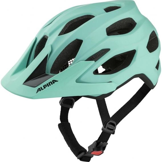 Radhelm Alpina Carapax 2.0