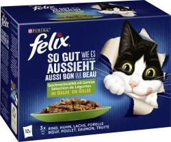 Felix So gut wie es aussieht Gemischte Vielfalt in Gemüse in Gelee