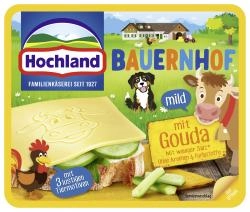 Hochland Sandwich Scheiben Bauernhof mit Gouda