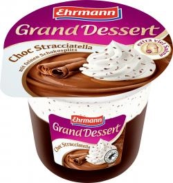 Ehrmann Grand Dessert Schoko-Stracciatella