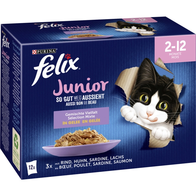 Felix Junior so gut wie es aussieht Gemischte Vielfalt 12x85g