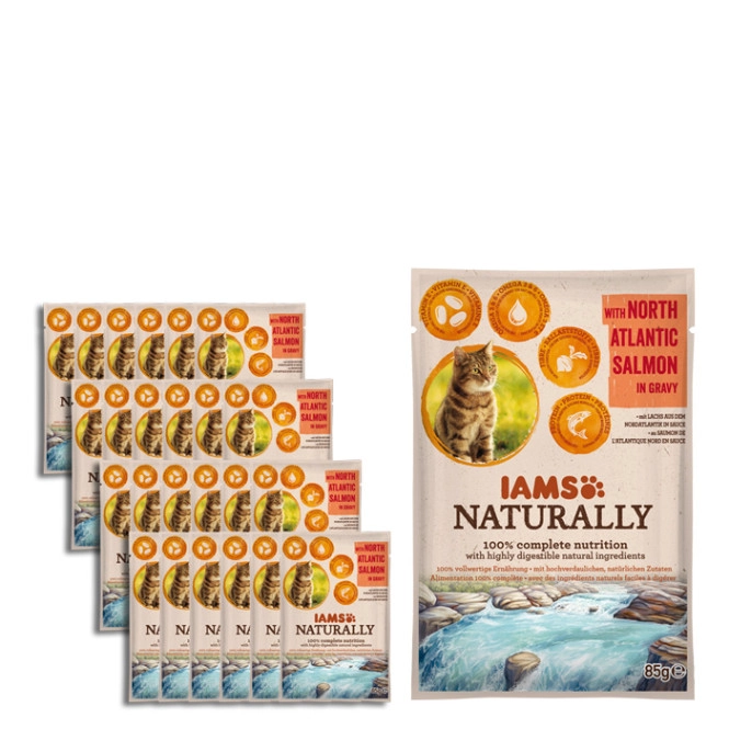 IAMS Naturally mit Lachs 24x85G