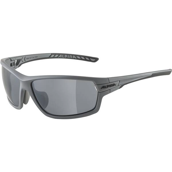 Sonnenbrille Alpina Tri-Scray 2.0