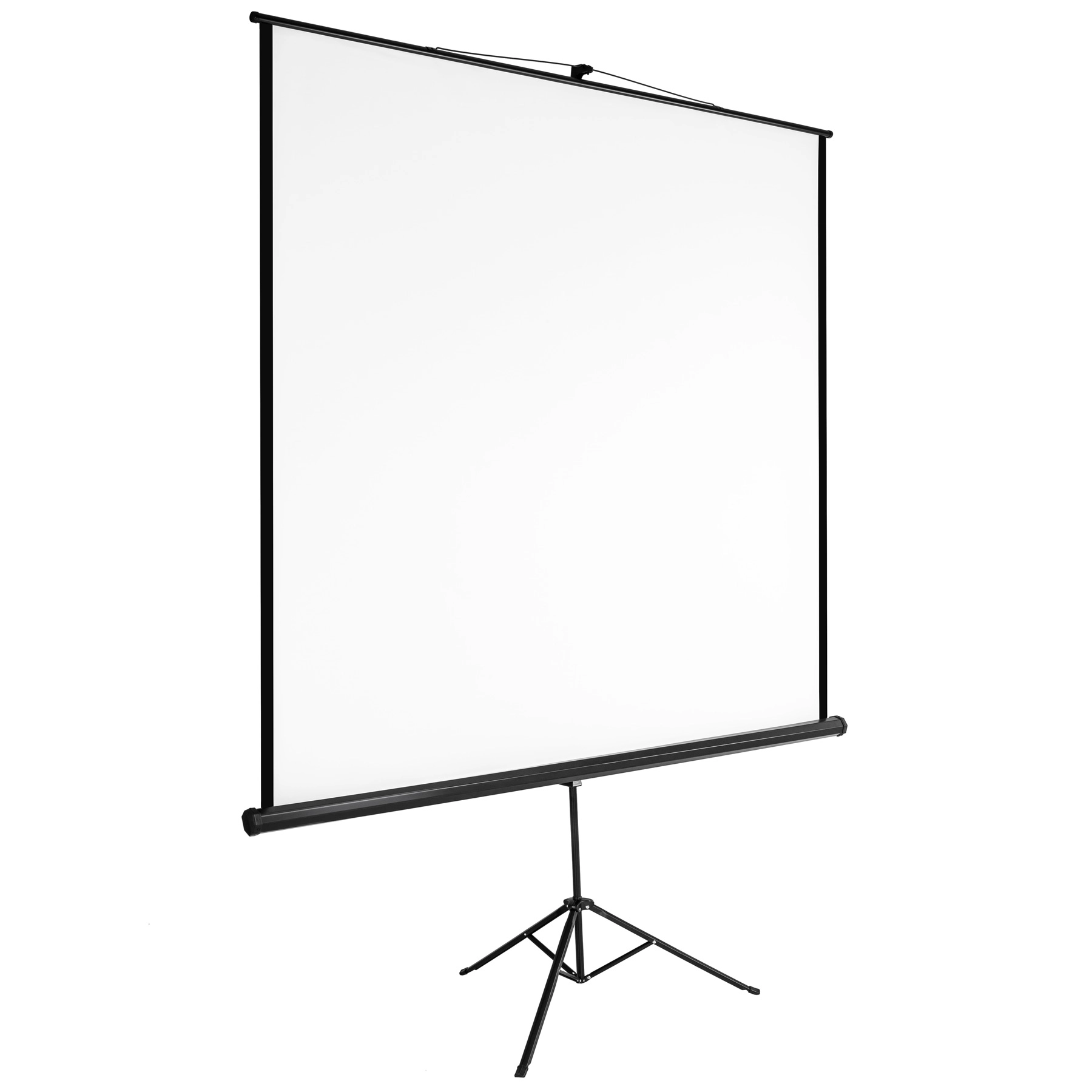 Beamer Leinwand Stativ - 203 x 203 cm