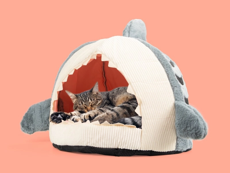 Haischlund Katzenbett