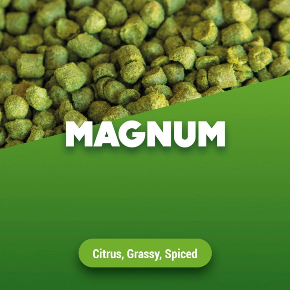 Hopfenpellets Magnum 100 g