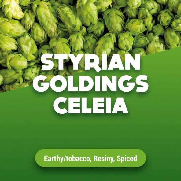 Rohhopfen Styrian Goldings Celeia 1 kg
