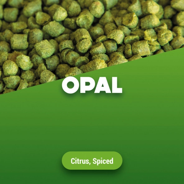 Hopfenpellets Opal 100 g