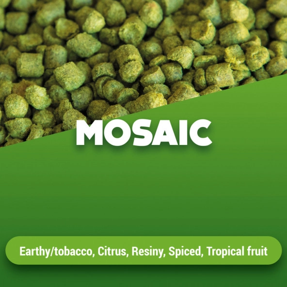 Hopfenpellets Mosaic 100 g