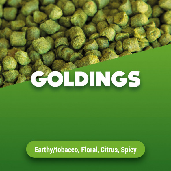 Hopfenpellets Goldings 2024 5 kg