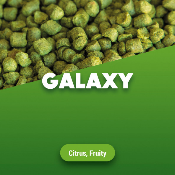 Hopfenpellets Galaxy - 100 g