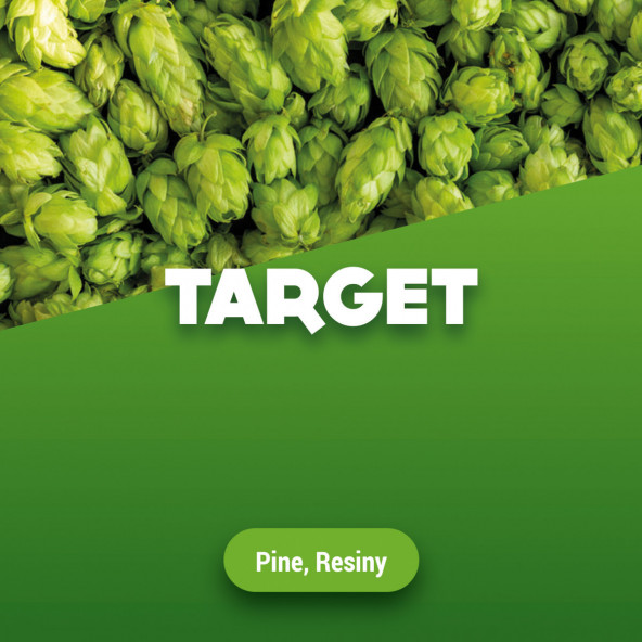 Rohhopfen Target 1 kg
