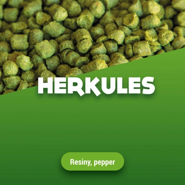 Hopfenpellets Herkules 1 kg