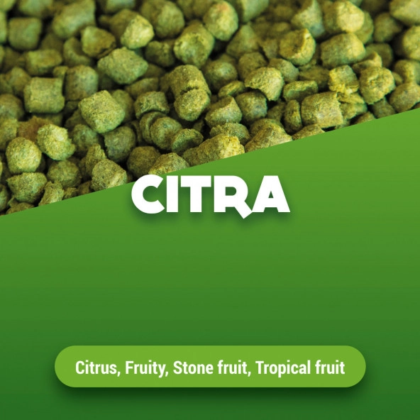Hopfenpellets Citra 2023 5 kg