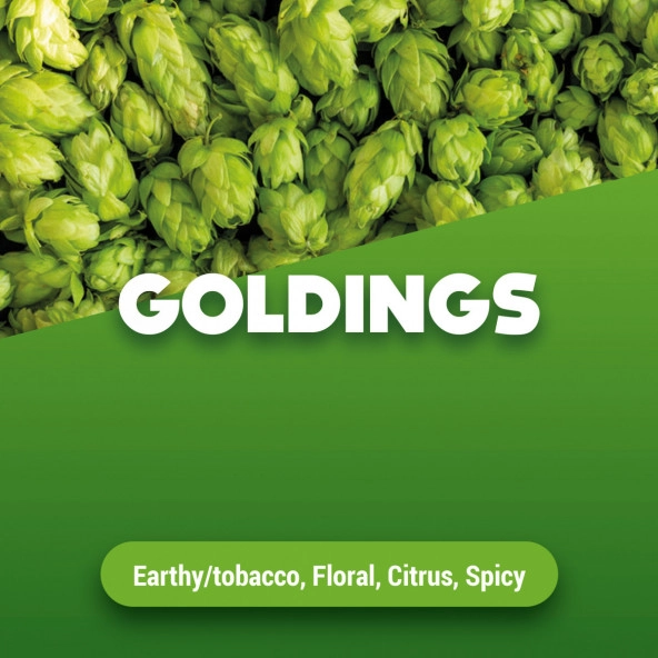 Rohhopfen Goldings 2024 5 kg