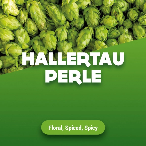 Rohhopfen Hallertau Perle 1 kg
