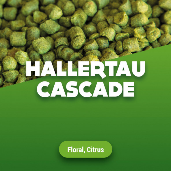Hopfenpellets Hallertau Cascade 100 g