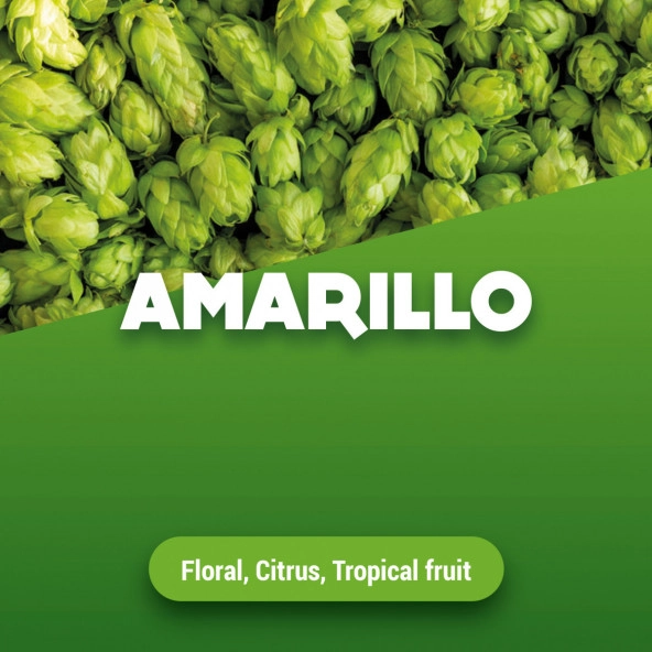 Rohhopfen Amarillo 1 kg