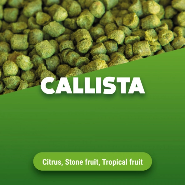 Hopfenpellets Callista 1 kg