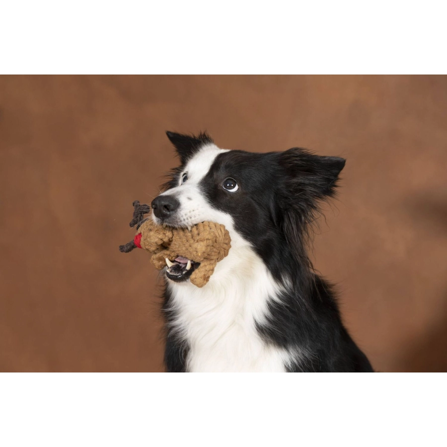 LABONI Rudi Rentier KULT-SPIELZEUG FÜR HUNDE - braun - 15 x 8 x 8 cm