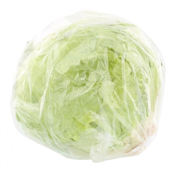 Bio Eisbergsalat
