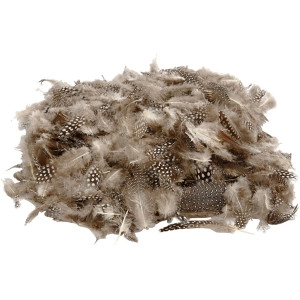 Perlhuhnfedern , Natur, 50g/ 1 Pck