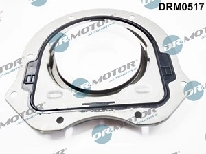 DR.MOTOR AUTOMOTIVE Kurbelwellendichtring FORD,FIAT,PEUGEOT DRM0517 0514C4,9659337480,1117435 1230864