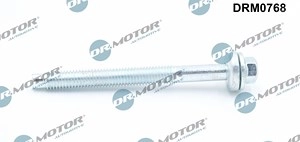 DR.MOTOR AUTOMOTIVE Schraube, Einspritzdüsenhalter OPEL,FORD,RENAULT DRM0768 8200376373