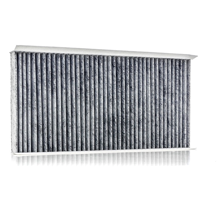 RIDEX Innenraumfilter 424I0013 Filter, Innenraumluft,Pollenfilter OPEL,FIAT,SAAB,Corsa C Schrägheck (X01),Vectra C Caravan (Z02),Signum CC (Z03)