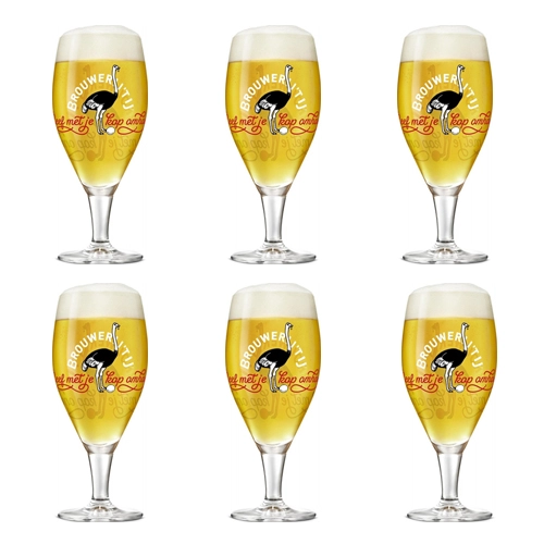 Brouwerij &apos;t IJ - Bierglas auf Fuß 300ml - 6 Stück