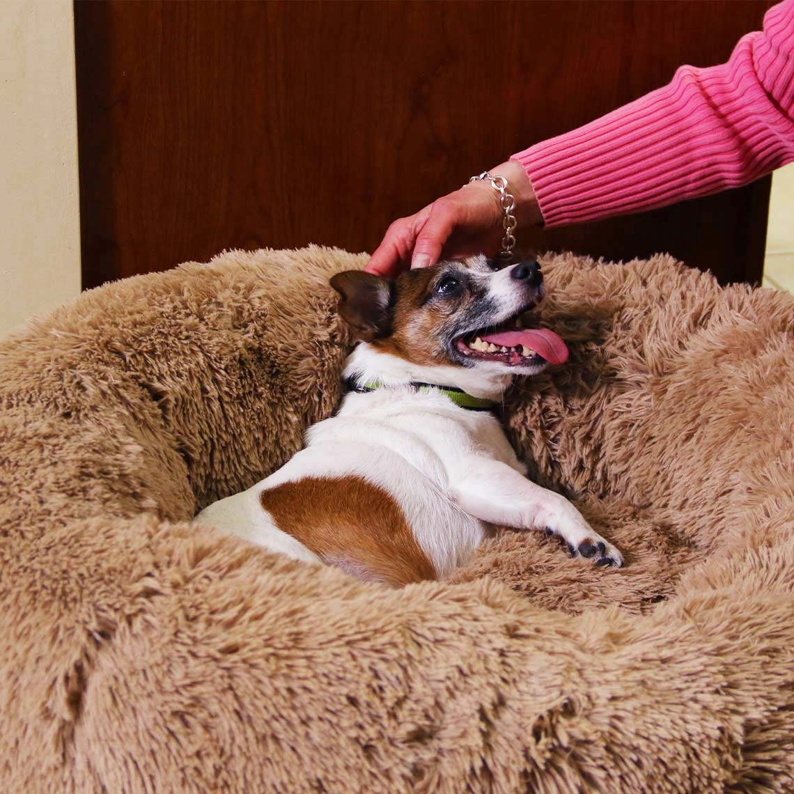 Peaceful Pooch Katzen- & Hundebett Medium (76cm)